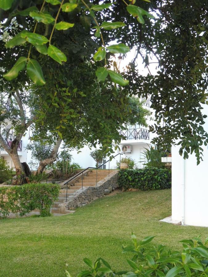 Tavira Garden 13 - Holiday In The Algarve エクステリア 写真